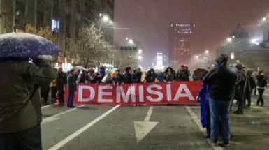 demisia