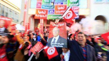 Una manifestazione di Nidaa nel 2014