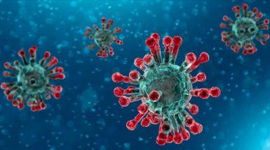 coronavirus shoot