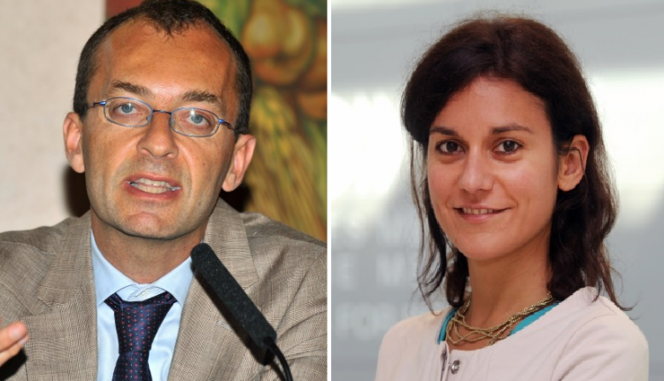 goldstein ajmone marsan