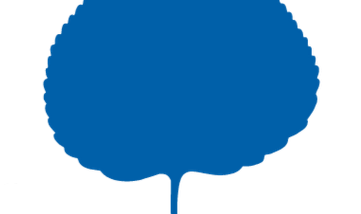 logo_aii_qr